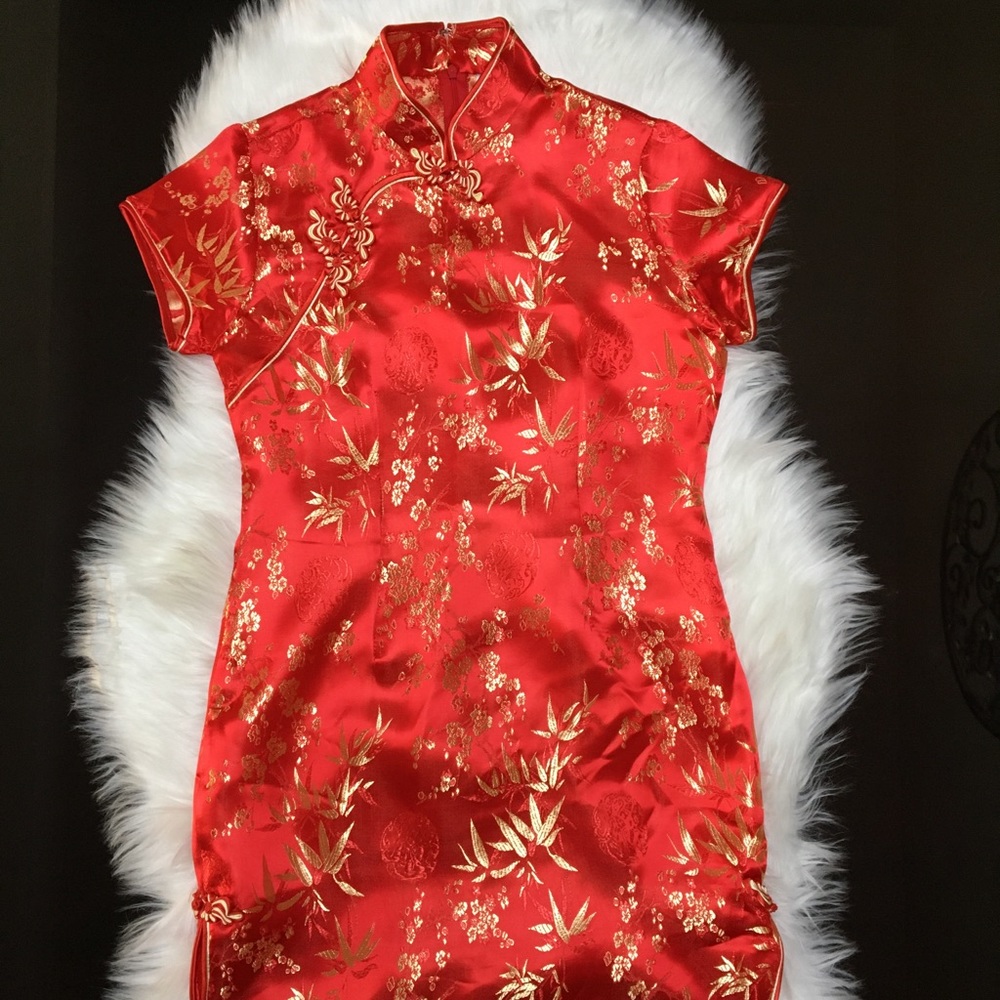 Beautiful Asian Dress
